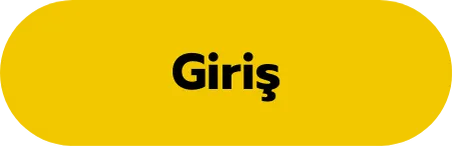 Giriş